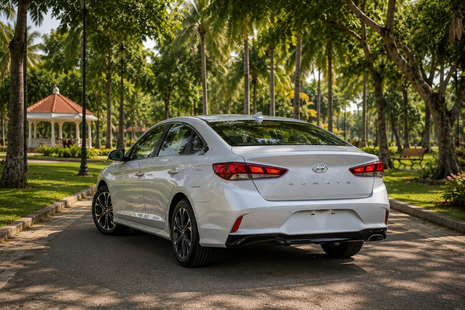 New Rise Sonata